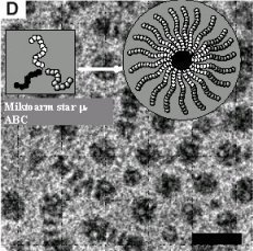 HIGHLIGHT: Multicompartment Micelles: Has the Long-Standing Dream Become a Reality?