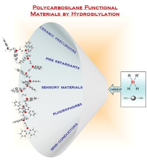 Functional Polymers: With Hydrosilylation to Functional Polymers