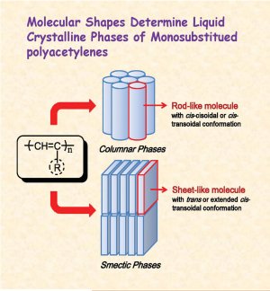 Functional Polymers: Molecular Shapes of Polyacetylenes in their Liquid Crystalline Phases
