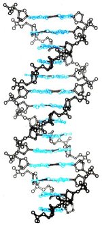 HIGHLIGHT: DNA-Synthetic Polymer Conjugates