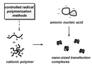 TREND: Charged Polymers via Controlled Radical Polymerization and their Implications for Gene Delivery