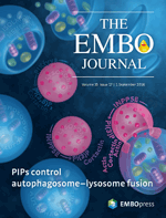 Cover: EMBO Journal