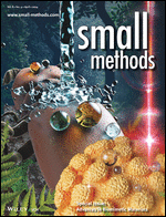 Cover: Small Methods