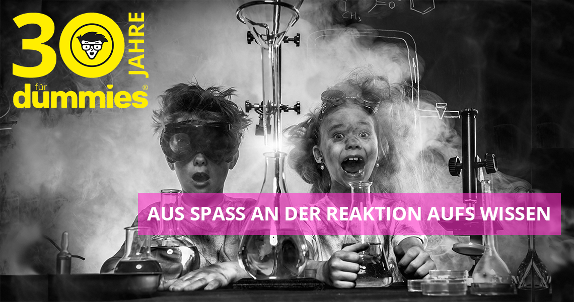 30 Jahre Dummies